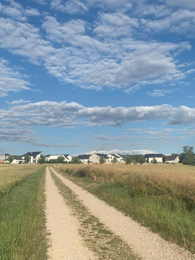 Homemade Apartment Liebshausen ภายนอก รูปภาพ